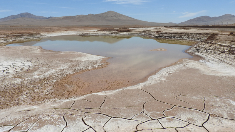 An ephemeral Atacama lagoon.